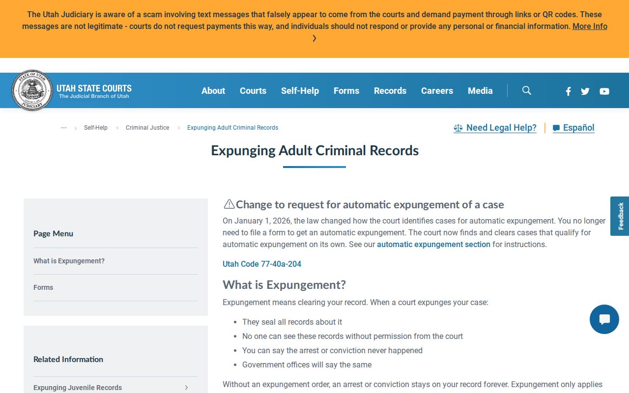 Junction criminal records expungement filing process